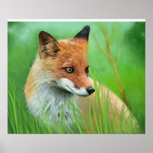 Fox - Poster (Voorkant)