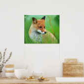 Fox - Poster (Keuken)