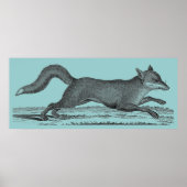 Fox Poster (Voorkant)