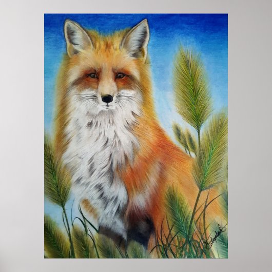 Fox Poster (Voorkant)