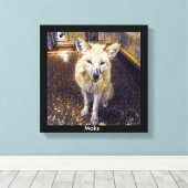 Fox Print - Merken (Insitu (Houten vloer))