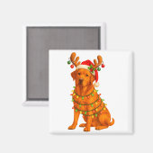 Fox Red Lab Christmas Tree Light Pajama Labrador D Magneet (Voorkant / Achterkant)