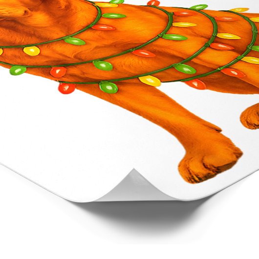 Fox Red Lab Christmas Tree Light Pajama Labrador D Poster (Hoek)