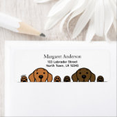 Fox Red Lab en Chocolate Lab kijken Etiket (Insitu)