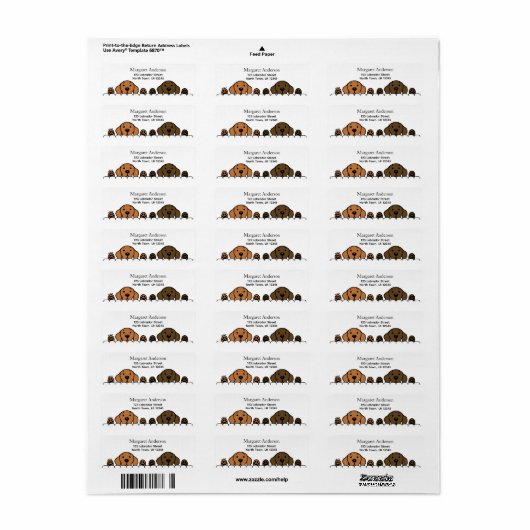 Fox Red Lab en Chocolate Lab kijken Etiket (Full Sheet)