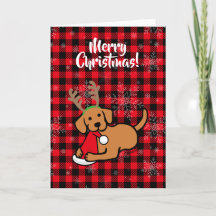 Fox Red Labrador en Santa kerstCartoon