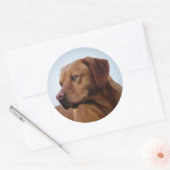 Fox Red Labrador Gundog Ronde Sticker (Envelop)