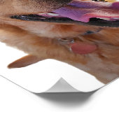 Fox red Labrador poster (Hoek)