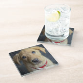 Fox Red Labrador Puppy Glazen Onderzetter (Schuin)