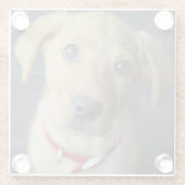 Fox Red Labrador Puppy Glazen Onderzetter (Achterkant)