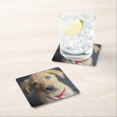 Fox Red Labrador Puppy Kartonnen Onderzetters (Insitu)