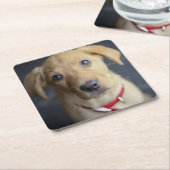 Fox Red Labrador Puppy Kartonnen Onderzetters (Schuin)