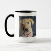 Fox Red Labrador Puppy Mok (Links)
