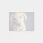 Fox Red Labrador Puppy Post-it® Notes (Voorkant)