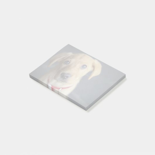 Fox Red Labrador Puppy Post-it® Notes (Schuin)