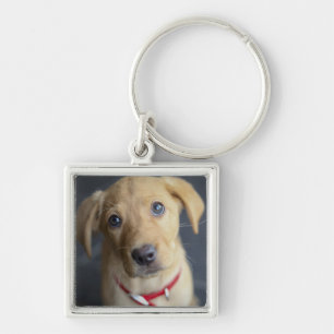 Fox Red Labrador Puppy Sleutelhanger