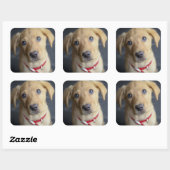 Fox Red Labrador Puppy Vierkante Sticker (Vel)