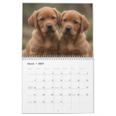 Fox Red Labrador Retriever 2027 Muurkalender Kalender (Mar 2027)