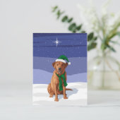 Fox Red Labrador Retriever kersthond Briefkaart (Staand voorkant)