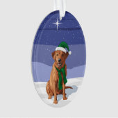 Fox Red Labrador Retriever kersthond Ornament (voorkant)