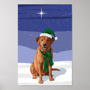 Fox Red Labrador Retriever kersthond Poster