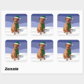 Fox Red Labrador Retriever kersthond Vierkante Sticker (Vel)