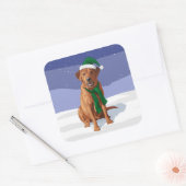 Fox Red Labrador Retriever kersthond Vierkante Sticker (Envelop)