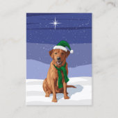 Fox Red Labrador Retriever kersthond Visitekaartje (Voorkant)