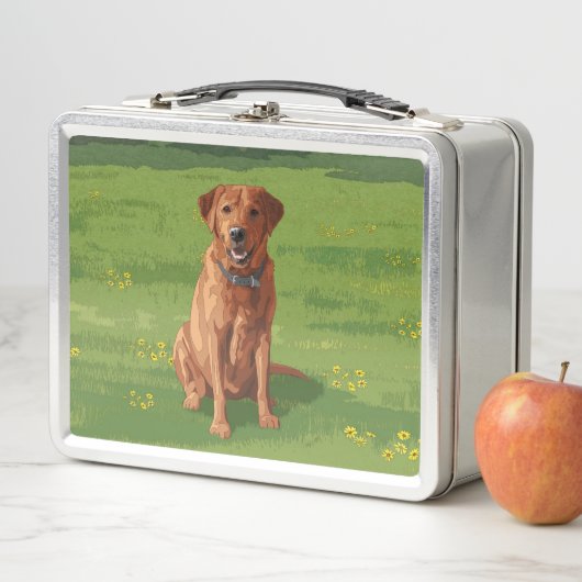 Fox Red Yellow Labrador Retriever Dog (In situ)