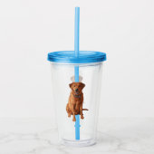 Fox Red Yellow Labrador Retriever Dog Acryl Drinkbeker (Voorkant)