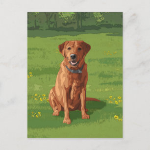 Fox Red Yellow Labrador Retriever Dog Briefkaart