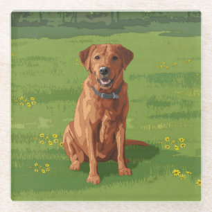 Fox Red Yellow Labrador Retriever Dog Glazen Onderzetter
