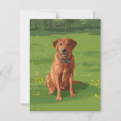 Fox Red Yellow Labrador Retriever Dog Kaart (Voorkant)