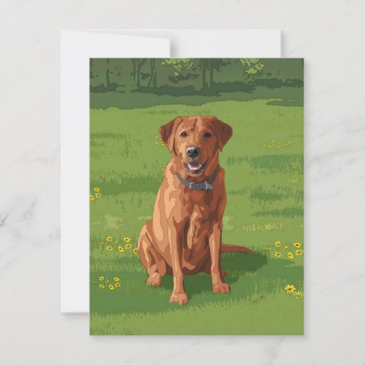 Fox Red Yellow Labrador Retriever Dog Kaart (Voorkant)