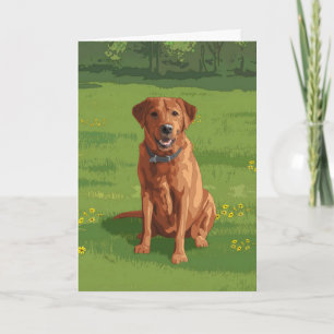 Fox Red Yellow Labrador Retriever Dog Kaart