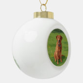 Fox Red Yellow Labrador Retriever Dog Keramische Bal Ornament (Links)