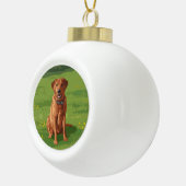 Fox Red Yellow Labrador Retriever Dog Keramische Bal Ornament (Rechts)
