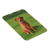 Fox Red Yellow Labrador Retriever Dog Magneet (Rechterzijde)