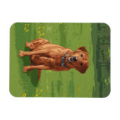 Fox Red Yellow Labrador Retriever Dog Magneet (Horizontaal)