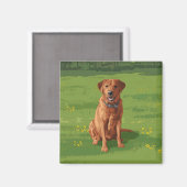 Fox Red Yellow Labrador Retriever Dog Magneet (Voorkant / Achterkant)