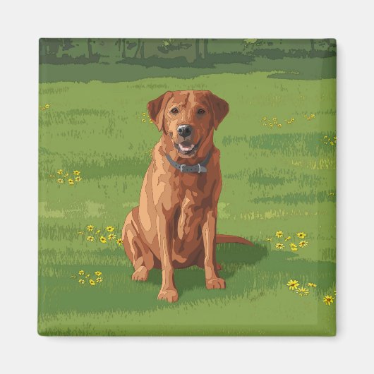 Fox Red Yellow Labrador Retriever Dog Magneet (Voorkant)