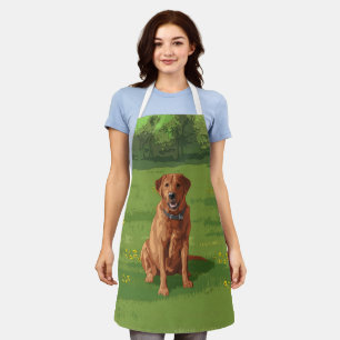 Fox Red Yellow Labrador Retriever Dog Schort
