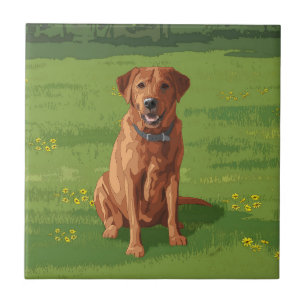 Fox Red Yellow Labrador Retriever Dog Tegeltje