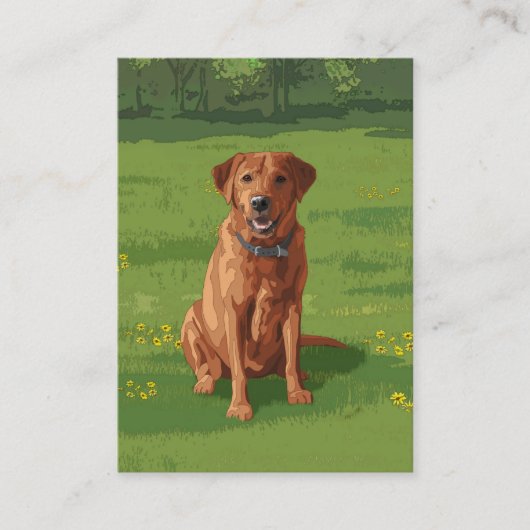 Fox Red Yellow Labrador Retriever Dog Visitekaartje (Voorkant)