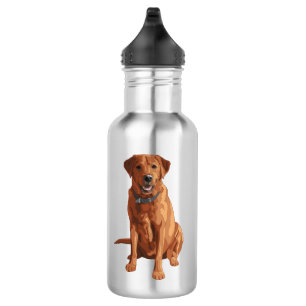 Fox Red Yellow Labrador Retriever Dog Waterfles