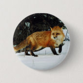 Fox Ronde Button 5,7 Cm (Voorkant)