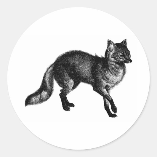  Fox Ronde Sticker (Voorkant)