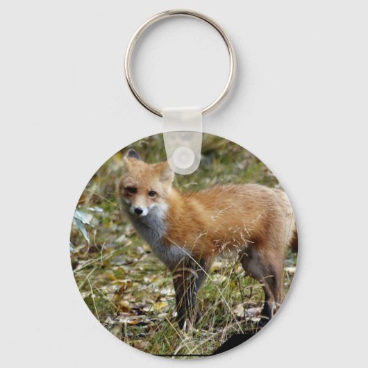 Fox Sleutelhanger (Voorkant)