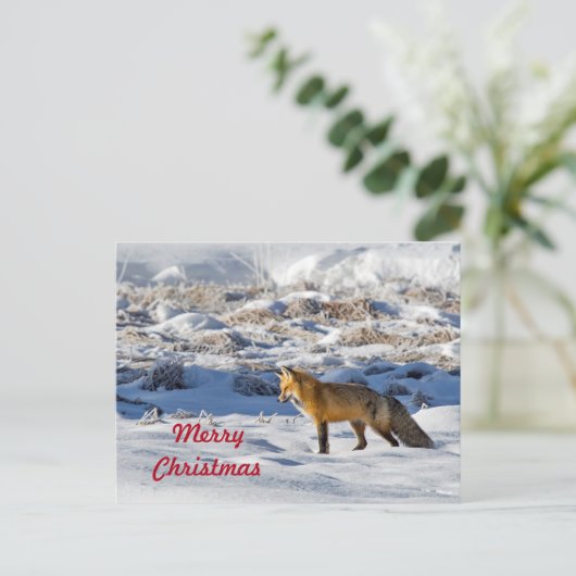  Fox Sneeuwfoto Kerstmis Briefkaart (Staand voorkant)