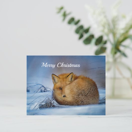 Fox Sneeuwfotokerst Briefkaart (Staand voorkant)